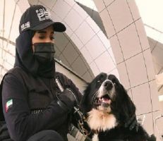 الكلاب البوليسية تساعد فى مكافحة كورونا في الإمارات العربية