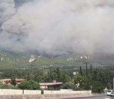 5.9 بالمئة من المناطق الزراعية والحراجية في اللاذقية وطرطوس وحمص تضررت جراء الحرائق