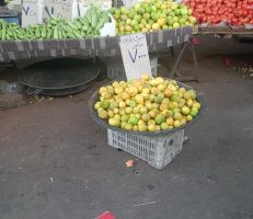 وسط قلة كمياته في الأسواق.. الليمون يرتفع بين ١٠ و ٤ آلاف للكيلو