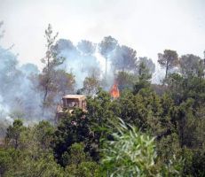 اتحاد غرف الزراعة يحذر من السيول الجارفة وإفساد التربة جراء حرائق الغابات