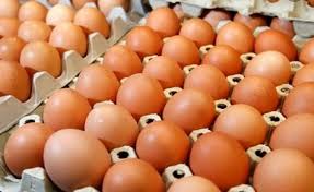 انخفاض أسعار البيض والفروج قريباً