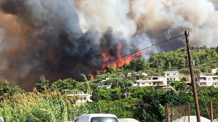 أضرار الحرائق في اللاذقية طالت ٢٨ ألف عائلة ونحو ٥ ملايين شجرة مثمرة معظمها زيتون وحمضيات