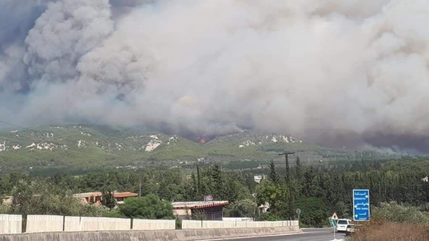 5.9 بالمئة من المناطق الزراعية والحراجية في اللاذقية وطرطوس وحمص تضررت جراء الحرائق
