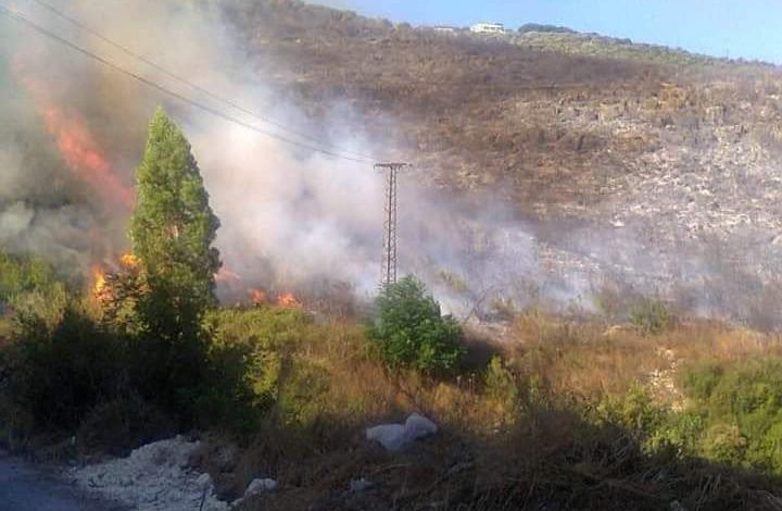 الزراعة السورية: 252 قرية تضررت ومليونا شجرة احترقت والتعويض نقدي مباشر
