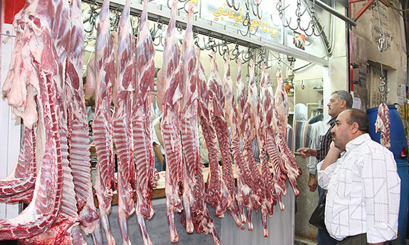 مع ارتفاع أسعار اللحوم .. دمشق تستهلك يومياً 1000 خروف و100 عجل