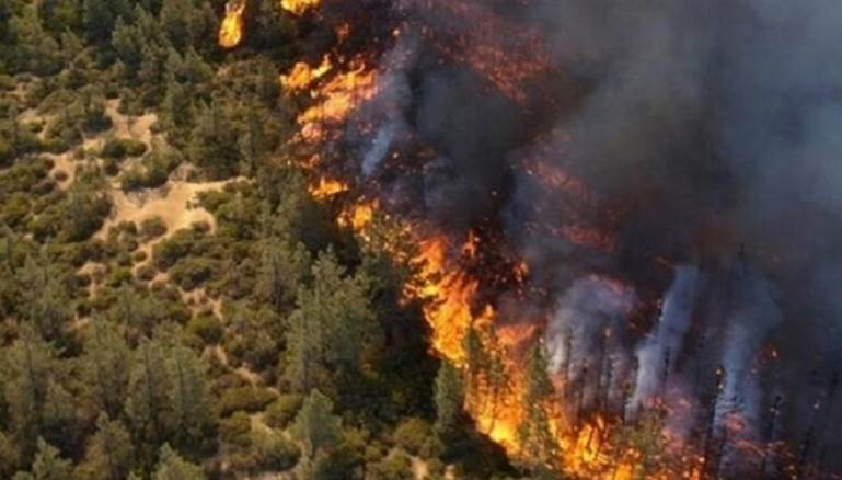 ارتفاع عام بمؤشرات خطورة الحرائق وتأثر مساحات من غابات الجبال الساحلية بها