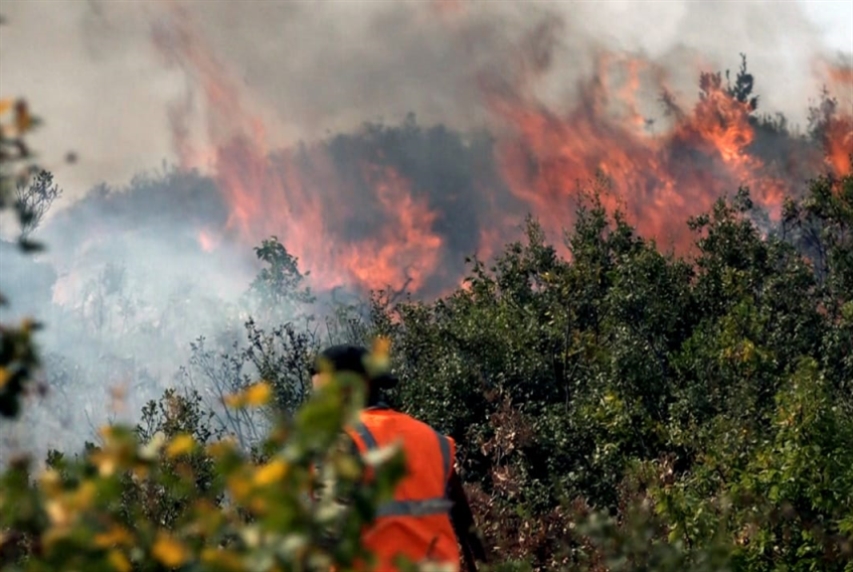 منصة الغابات ومراقبة الحرائق تحذر من تؤثر مواقع غابات شمال سورية بمؤشرات الخطورة