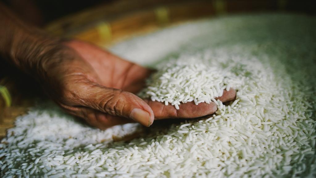 الهند تُقيّد صادرات الأرز بعد ارتفاع الأسعار المحلية