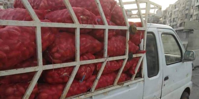50 طناً من البصل بسعر 5500 ليرة في سوق الهال بحمص
